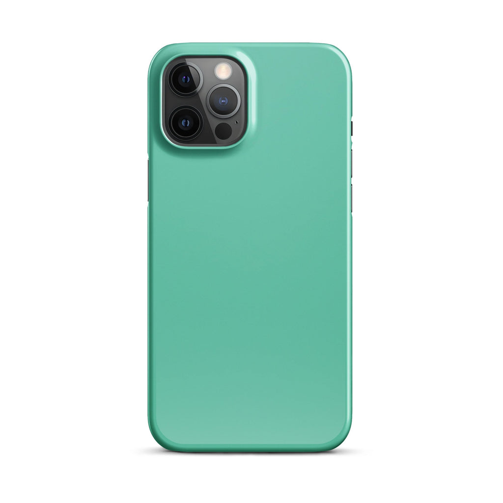 Jade Phone case for iPhone-12