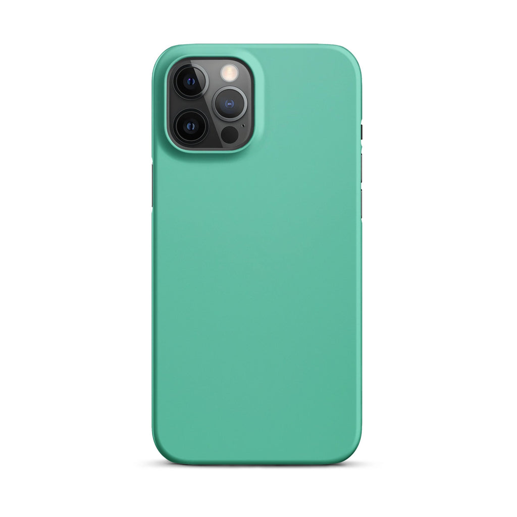 Jade Phone case for iPhone-13